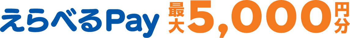 えらべるpay最大5000円分