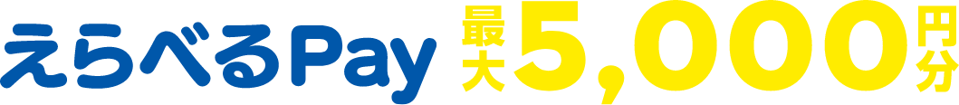 えらべるpay最大5000円分