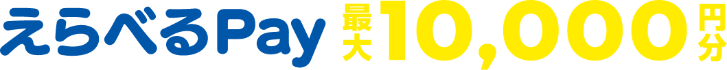 えらべるpay最大10000円分