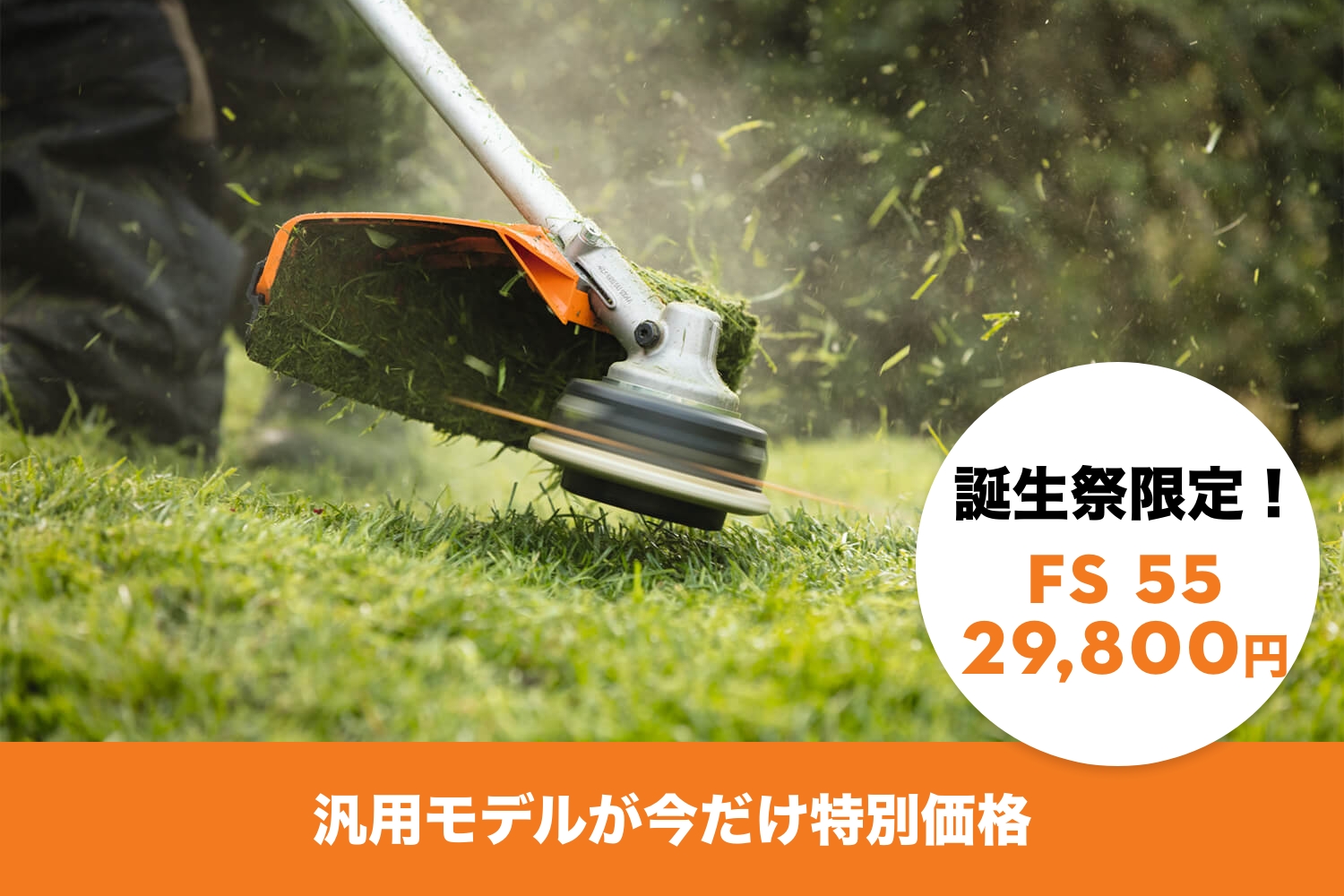 汎用モデルが今だけ特別価格