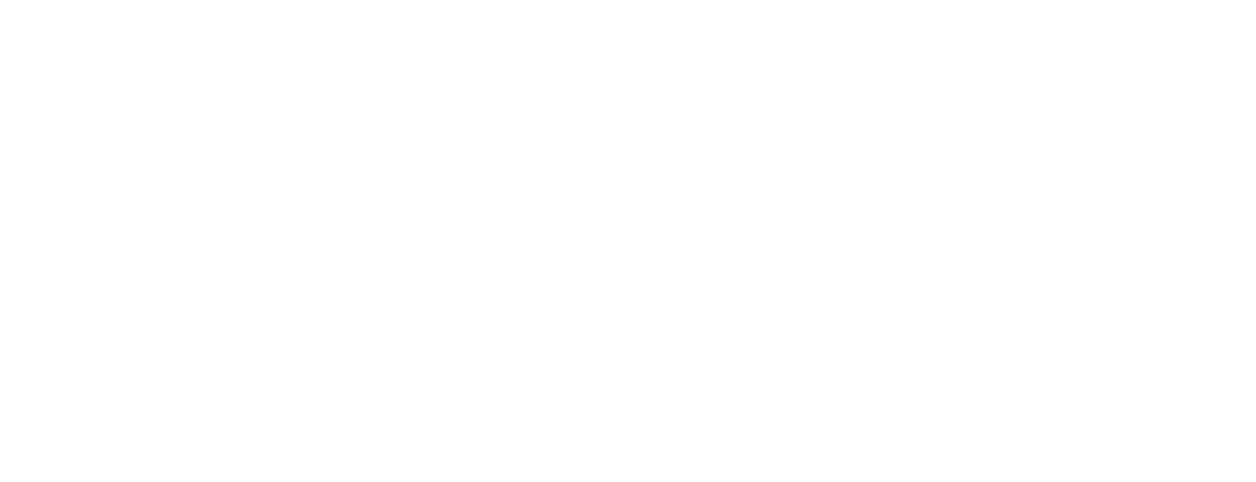100年目のSTIHLの日
